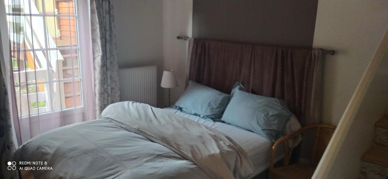 Logement Independant Attenant A Une Maison Dans Grand Jardin Retournac 외부 사진
